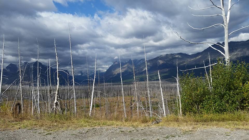 glacier-national-park-9