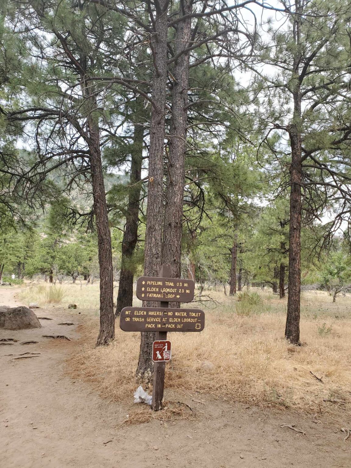 Fat Man’s Loop Belongs On Your Flagstaff Hiking Bucket List 